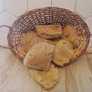 Natural Sponge