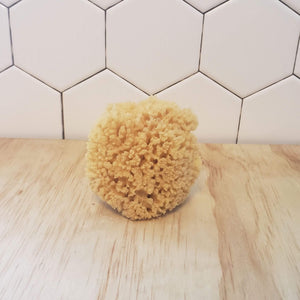 Natural Sponge